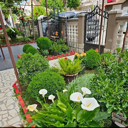 Kristina * بودغوريتْسا